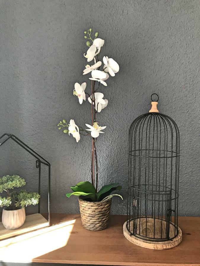 Bruno'S Home 말라가 외부 사진